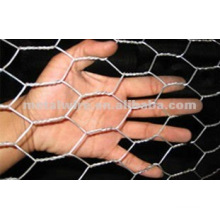 stainless steel hexagonal wire